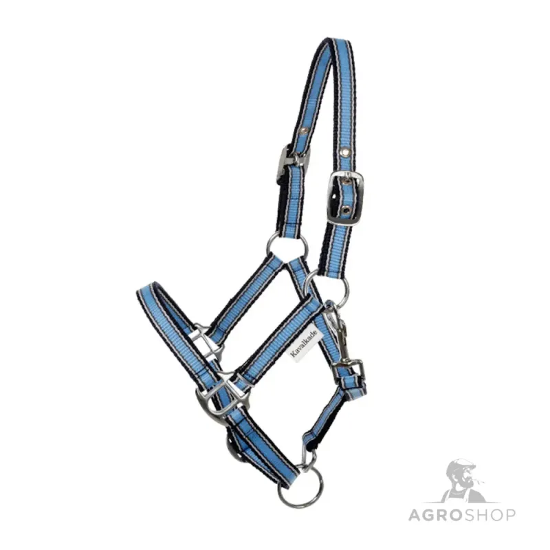 Riimu Shetty Shorty Kavalkade