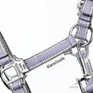 Riimu Shetty Shorty Kavalkade