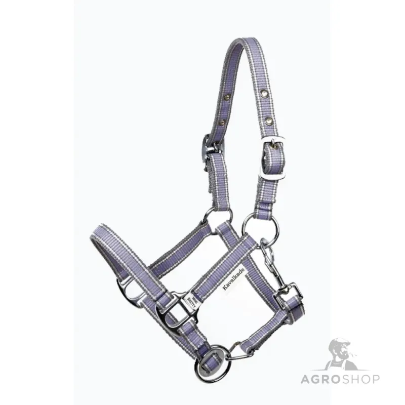 Riimu Shetty Shorty Kavalkade