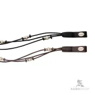 Otsapanta Grace Kavalkade