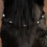 Otsapanta Grace Kavalkade