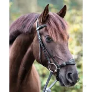 Suitset Levana Kavalkade