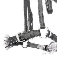 Suitset Levana Kavalkade