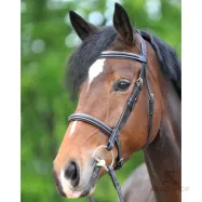 Suitset Akila Hunter Kavalkade