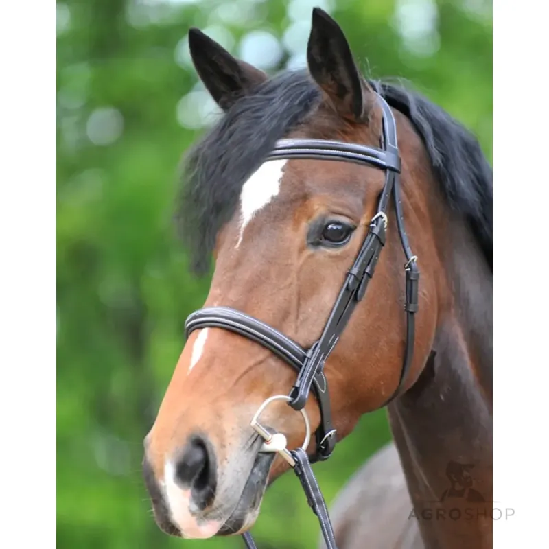 Suitset Akila Hunter Kavalkade