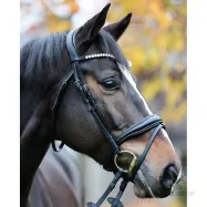 Suitset Juliana Patent Kavalkade