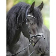 Suitset Juliana Patent Kavalkade