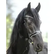 Suitset Juliana Patent Kavalkade