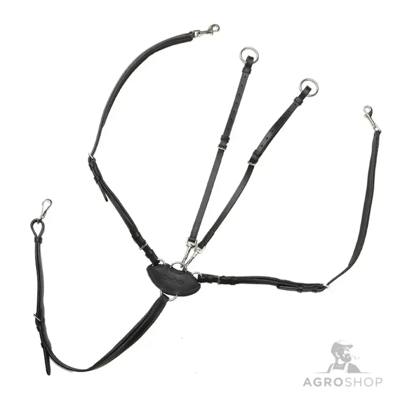 Martingaali rintaremmillä V-Shape Kavalkade