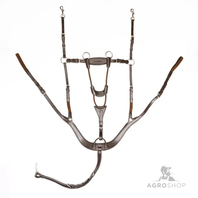 Martingaali rintaremmillä Caya 5 Kavalkade