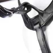 Martingaali rintaremmillä Caya 5 Kavalkade