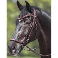 Suitset Everana Hannover Kavalkade