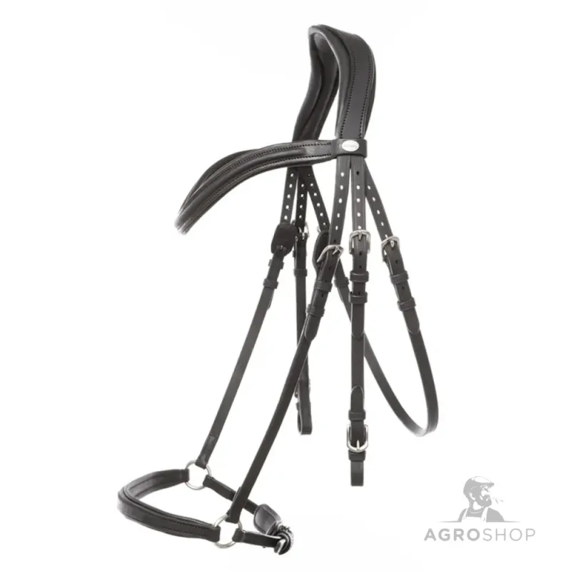 Suitset Everana Hannover Kavalkade