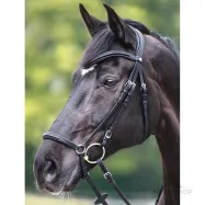 Suitset Everana Hannover Kavalkade