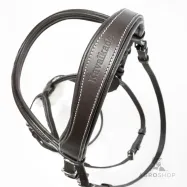 Suitset Diandro Mexican Kavalkade