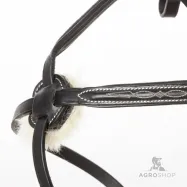 Suitset Diandro Mexican Kavalkade