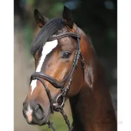 Suitset Ivy Kavalkade