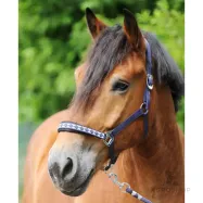 Riimu Draft Horse Classic Kavalkade