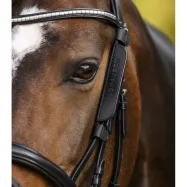 Blinkkerit Waldhausen