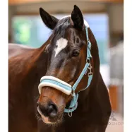 Riimu Elegant Waldhausen