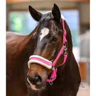 Riimu Elegant Waldhausen