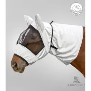 Ekseemanaamio Waldhausen