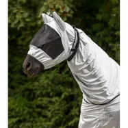 Ekseemanaamio Waldhausen