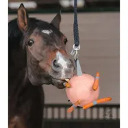 Porkkanapallo Waldhausen