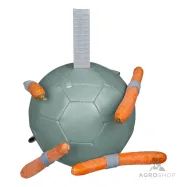 Porkkanapallo Waldhausen