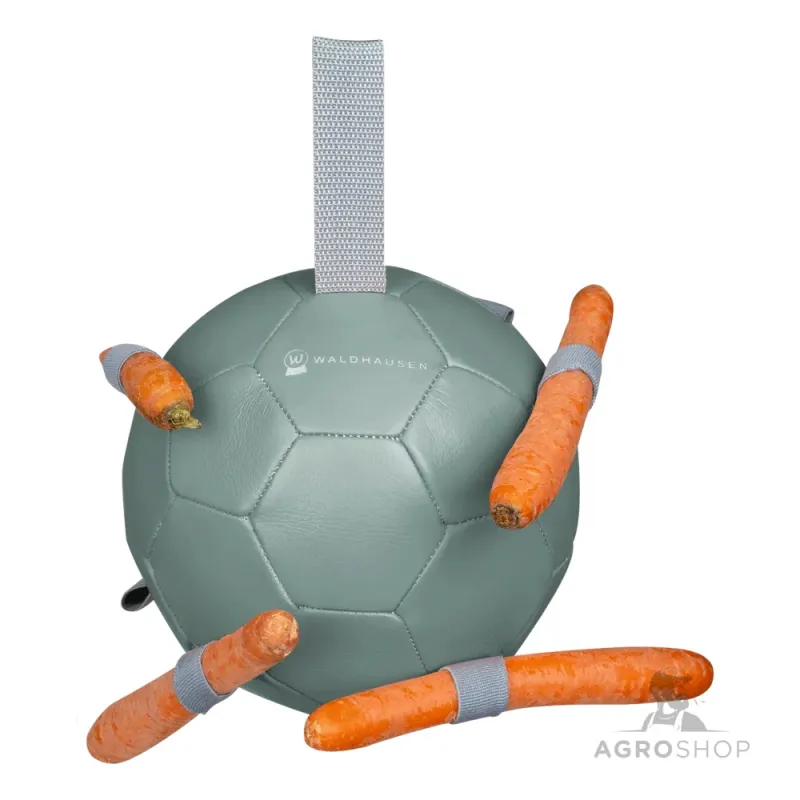 Porkkanapallo Waldhausen
