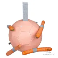 Porkkanapallo Waldhausen