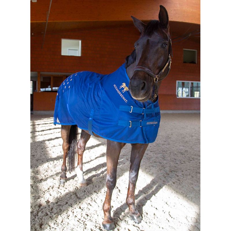 Terapeuttinen loimi Accuhorsemat Cooler