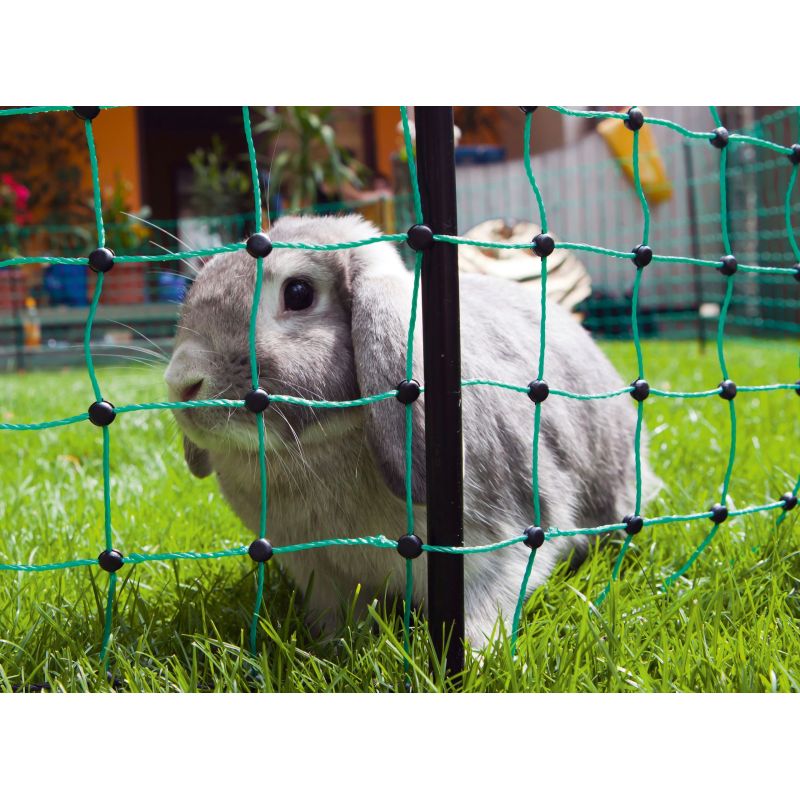Sähköistettävä verkko RabbitNet