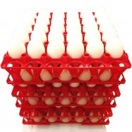 Kananmunakenno 30:lle munalle