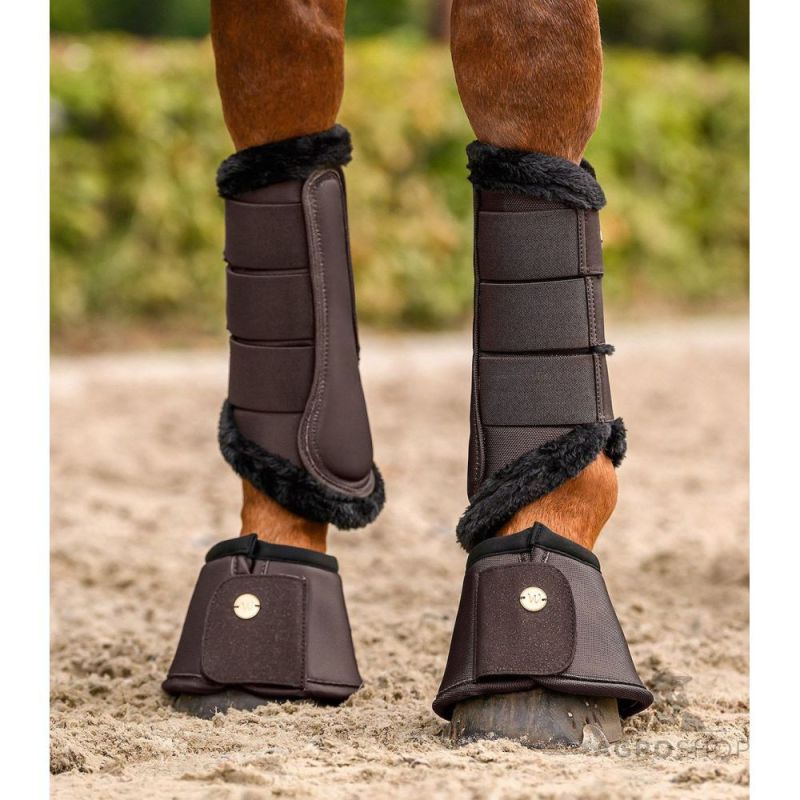 Bootsit Phoenix Waldhausen