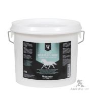 Viilentävä savi Cold Clay MSM Wahlsten 4kg