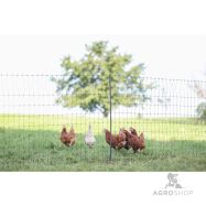 Aitaverkko PoultryNet Premium kanoille 1,22x50 m jalkatuella