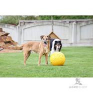Koiran leikkipallo Ø 30 cm, keltainen