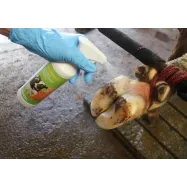 Kavioiden ja sorkkien hoitosuihke Podoseptan 500ml