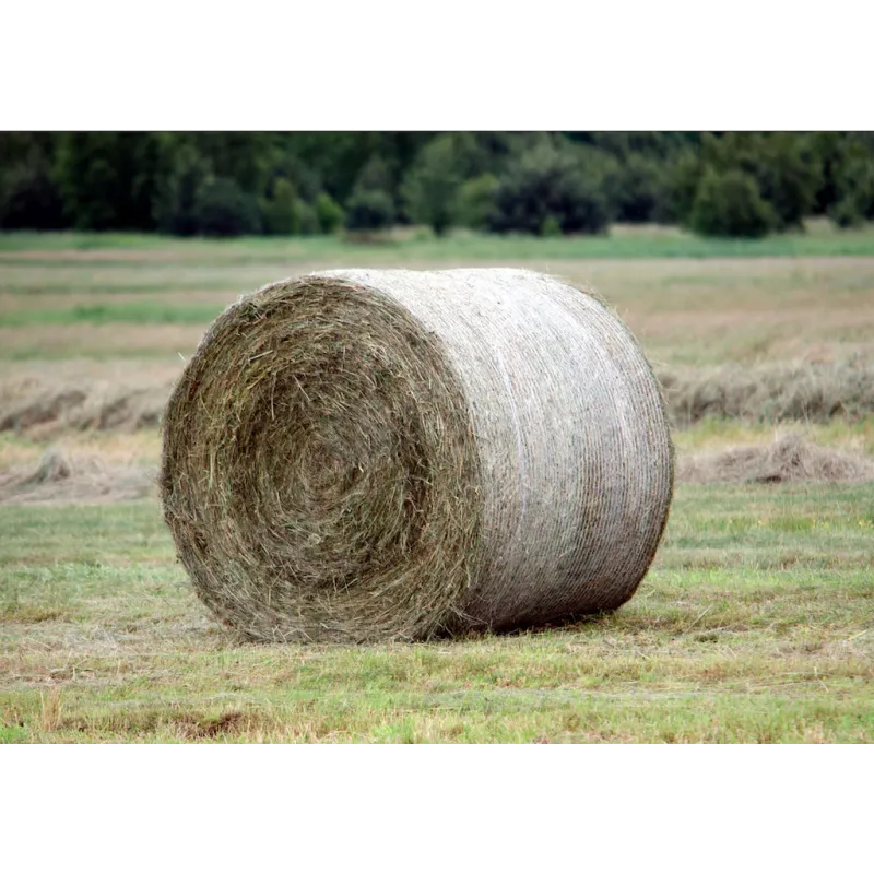 Heinäverkko pyöröpaalille Platinum 1,25x3000m